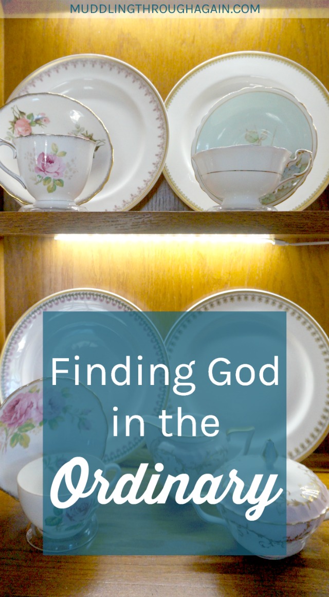 As Christians, finding God in the ordinary is such an integral step to recognizing the glory of God in all situations. Learn how to find God's blessings in the ordinary, notice God in the ordinary, and seek God in the ordinary. 