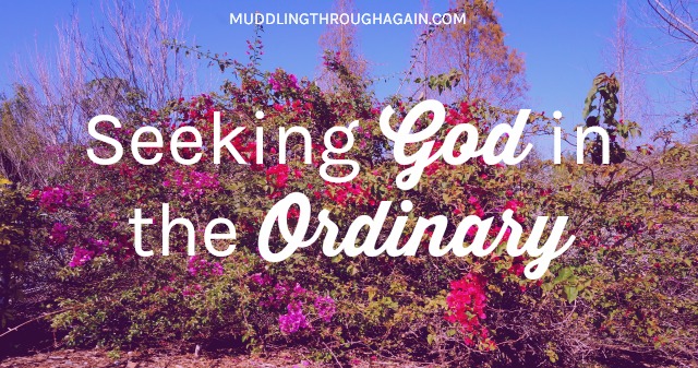 As Christians, finding God in the ordinary is such an integral step to recognizing the glory of God in all situations. Learn how to find God's blessings in the ordinary, notice God in the ordinary, and seek God in the ordinary.