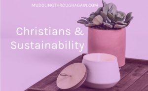 Succulent, candle. Text overlay reads: Christians and Sustainability