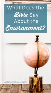 Pink globe. Text overlay reads: "What Does the Bible Say About the Environment?"